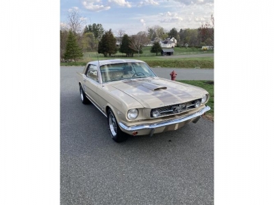 1966 Ford Mustang for sale