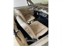 1966 Ford Mustang for sale in Michigan (ID-122731)