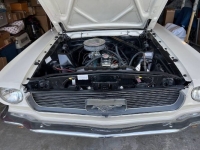 1966 Ford Mustang for sale in Michigan (ID-123062)