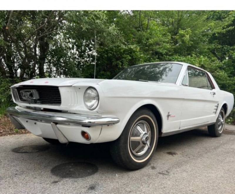 1966 Ford Mustang for sale in Michigan (ID-123104)