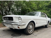 1966 Ford Mustang for sale in Michigan (ID-123104)