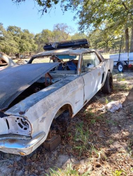 1966 Ford Mustang for sale in Michigan (ID-123154)