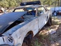 1966 Ford Mustang for sale in Michigan (ID-123154)