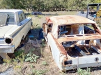 1966 Ford Mustang for sale in Michigan (ID-123154)