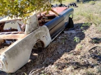 1966 Ford Mustang for sale in Michigan (ID-123154)