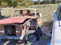 1966 Ford Mustang for sale in Michigan (ID-123154)