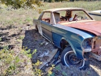 1966 Ford Mustang for sale in Michigan (ID-123154)