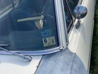 1966 Ford Mustang for sale in Michigan (ID-123321)