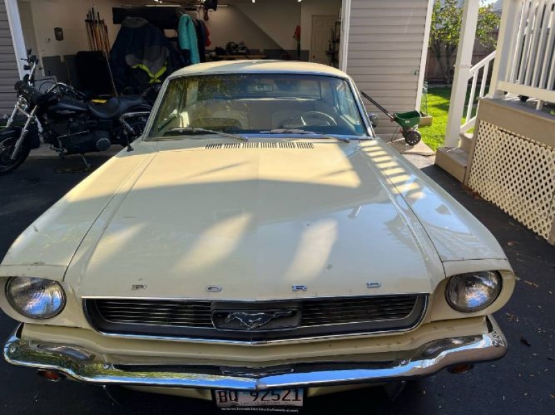 1966 Ford Mustang for sale in Michigan (ID-123450) 1966 Ford Mustang for sale in Michigan (ID-123450)