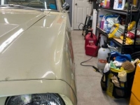 1966 Ford Mustang for sale in Michigan (ID-123450)