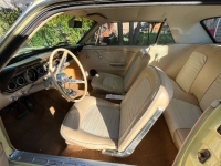 1966 Ford Mustang for sale in Michigan (ID-123450)