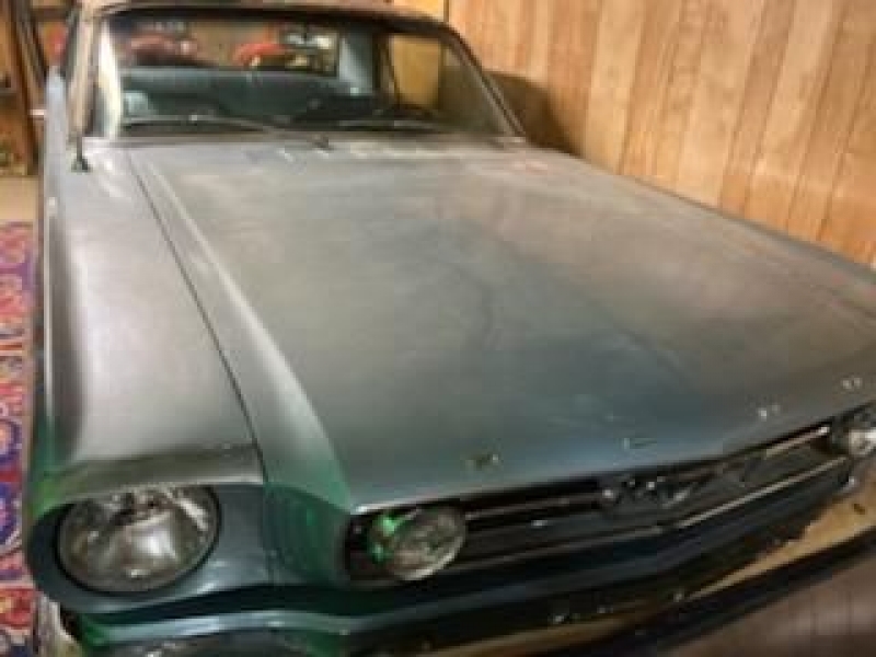 1966 Ford Mustang for sale in Michigan (ID-123722)