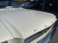 1966 Ford Mustang for sale in Michigan (ID-123889)