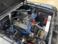 1966 Ford Mustang for sale in Michigan (ID-124536)