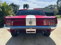 1966 Ford Mustang for sale in Michigan (ID-125014)