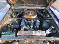 1966 Ford Mustang for sale in Michigan (ID-125858)