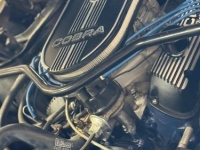 1966 Ford Mustang for sale in Michigan (ID-125968)