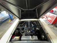 1966 Ford Mustang for sale in Michigan (ID-125968)