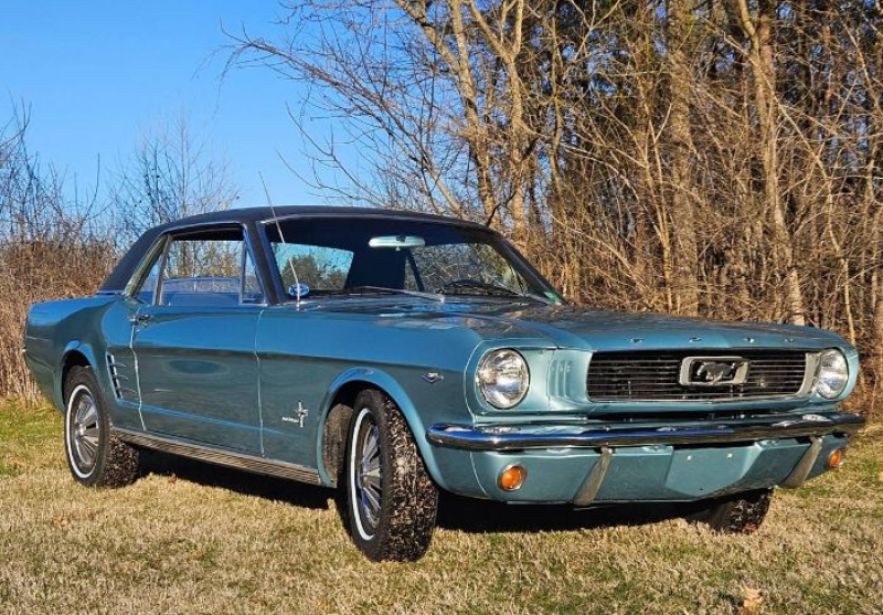 1966 Ford Mustang for sale in Michigan (ID-126106)
