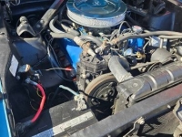 1966 Ford Mustang for sale in Michigan (ID-126106)