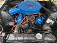 1966 Ford Mustang for sale in Michigan (ID-126549)