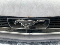 1966 Ford Mustang for sale in Michigan (ID-127828)