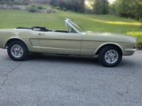 1966 Ford Mustang for sale in Michigan (ID-128092)