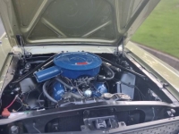 1966 Ford Mustang for sale in Michigan (ID-128092)