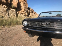 1966 Ford Mustang for sale in Michigan (ID-128358)