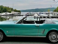 1966 Ford Mustang for sale in Michigan (ID-130473)
