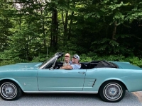 1966 Ford Mustang for sale in Michigan (ID-130473)
