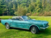 1966 Ford Mustang for sale in Michigan (ID-130473)