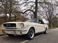 1966 Ford Mustang for sale in Michigan (ID-130853)