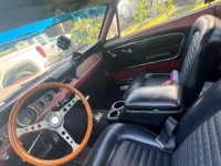 1966 Ford Mustang for sale in Michigan (ID-131065)