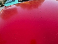 1966 Ford Mustang for sale in Michigan (ID-131065)