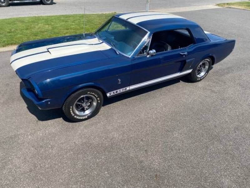 1966 Ford Mustang for sale in Michigan (ID-131143)