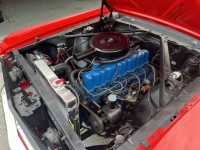1966 Ford Mustang for sale in Michigan (ID-131838)