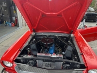 1966 Ford Mustang for sale in Michigan (ID-131838)