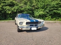 1966 Ford Mustang for sale in Michigan (ID-132147)