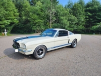 1966 Ford Mustang for sale in Michigan (ID-132147)
