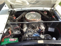 1966 Ford Mustang for sale in Michigan (ID-132147)