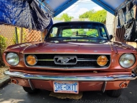1966 Ford Mustang for sale in Riverhead, New York (ID-132807)