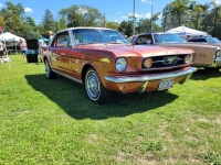 1966 Ford Mustang for sale in Riverhead, New York (ID-132807)