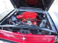 1966 Ford Mustang for sale (ID-99878)