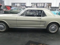 1966 Ford Mustang for sale (ID-131628)