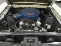 1966 Ford Mustang for sale (ID-131628)