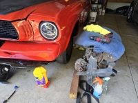 1966 Ford Mustang for sale in Michigan (ID-134090)