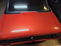 1966 Ford Mustang for sale in Michigan (ID-134090)