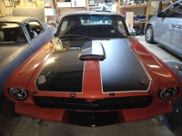 1966 Ford Mustang for sale in Michigan (ID-134090)