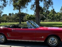1966 Ford Mustang for sale in Michigan (ID-135308)